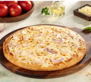 Cheese onion pizza