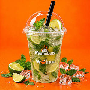 Mint Mojito