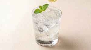 Fresh Lemon Soda