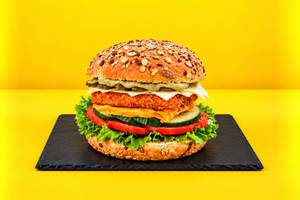 Double Cheese Paneer Melt Burger