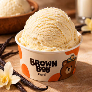Vanilla Ice Cream