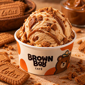 Belgian Biscuit Ice Cream