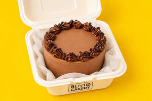 Light Chocolate Bento