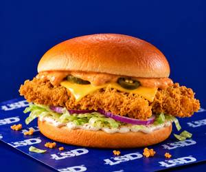 Mexican Chicken Cheese Burger