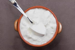 Plain Curd