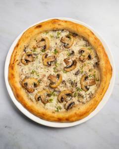 Truffle Fungi