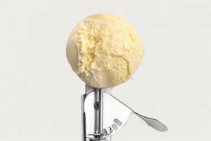 Wayanad Vanilla Ice Cream (100 G)