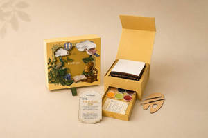Picasso Edit Decorating Box