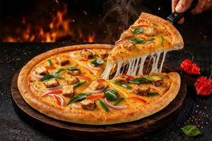 Spicy Paneer Tikka Regular Pizza