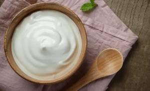 Plain Curd