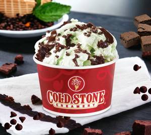 Mint Mint Chocolate Chocolate Chip Ice Cream