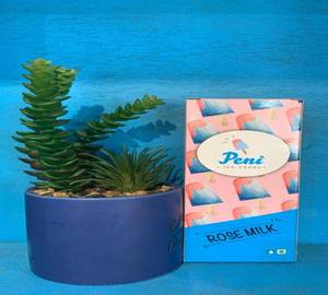 Rose Milk Ice Candy