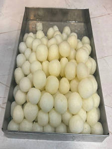 Cow Milk Rasgulla