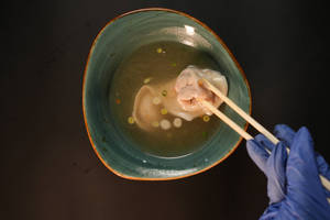 Veg Wonton (new)