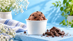 Choco Chip Ice Cream