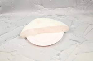 Paneer