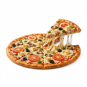 Veg Pro Pizza