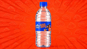 Bottled Water (500ml)
