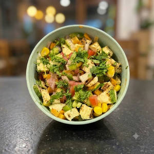 Vegetable & Paneer Salad
