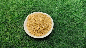 Bikaneri Bhujia