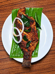 Thilophiya Fry