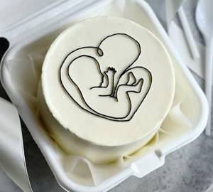 Baby Shower Red Velvet Bento Cake