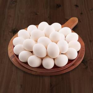 White Egg - Pack Of 30