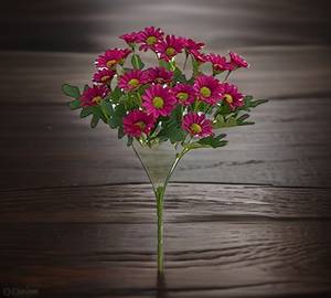Dazy 1 stick ten flower