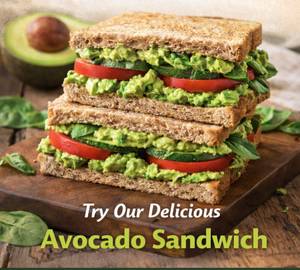 Avacado sandwich