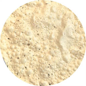 Plain Papad 