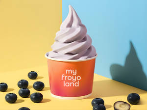 Blueberry Bliss Frozen Yogurt