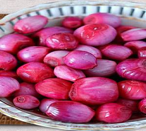Vinegar Onion