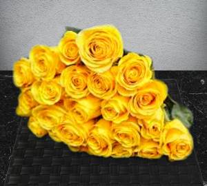 Yellow Rose
