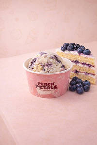 Blueberry Short Cake Ice Cream