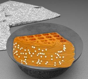 Peanut Butter Waffle