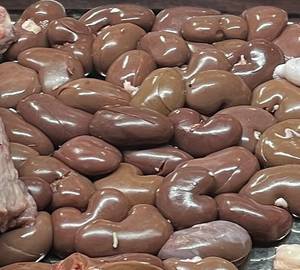 Kidney [1kg]