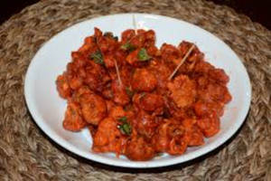 Gobi 65
