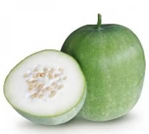 White Pumpkin (Large)