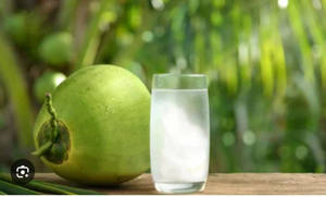 Tender Coconut
