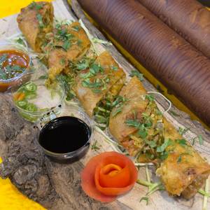 Veg Spring Roll