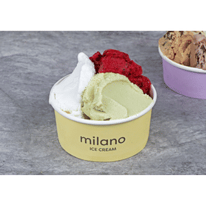 Gelato to go 250gms (3 Flavours)