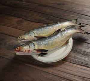 Indian Salmon (1000 Gm)