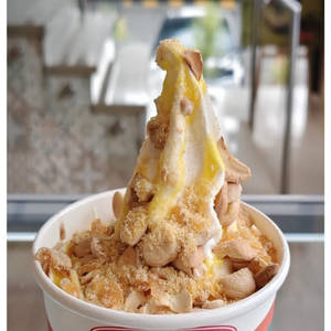 Butterscotch Family Pack Ice Cream