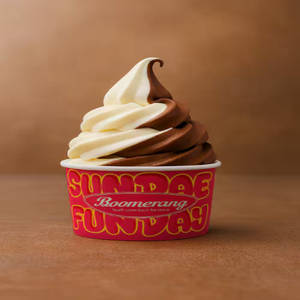 Choco Vanilla Classic Ice Cream