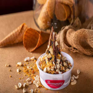 Hot Fudge Nut Sundae Ice Cream