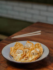 Veg Crispy Fried Wontons