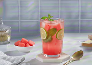 Watermelon Mojito