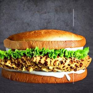 Chicken Sandwich Griiled