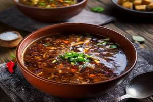 Veg Hot & Sour Soup