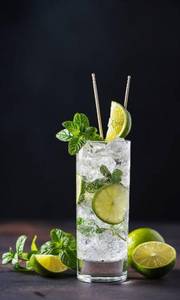 Fresh Lime Soda